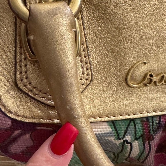 Coach Ashley - Picture 4 of 16